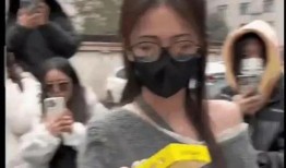 吃瓜爆料原声视频大全,揭秘娱乐圈幕后真相