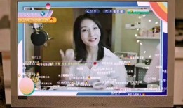 河东主播被杀爆料新闻,真相背后，网络暴力与正义的较量